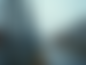 The Effectiveness of Security Fences