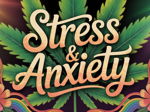 Calm in a Capsule: How CBD is Reshaping the Fight Against Stress and Anxiety