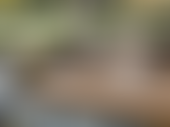 Lawn & Order: 7 Landscaping Mistakes to Avoid in 2025 (And What to Do Instead)