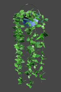 photo 1.png