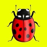 coccinelle Rouge.png