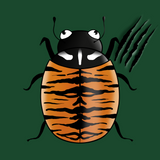 coccinelle tigre.png