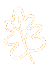 oak.png