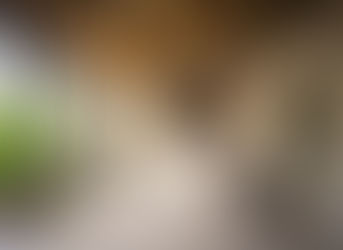 Luxury bathroom in a bush lodge