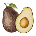 Avocat