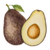 avocado