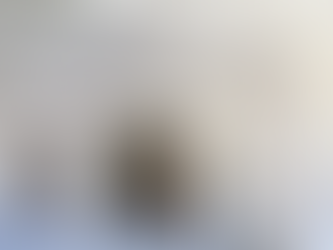 Instalações Residenciais e Comerciais de Gesso Marinho: Qualidade Garantida