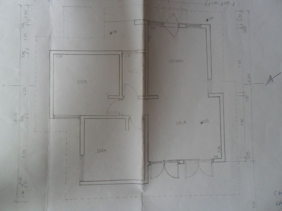 Planta