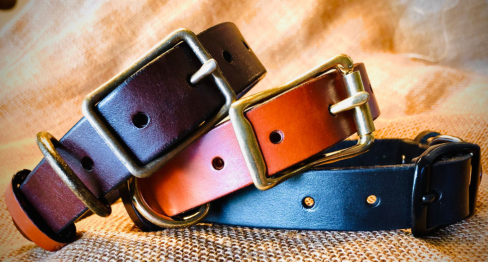 Leather Collars