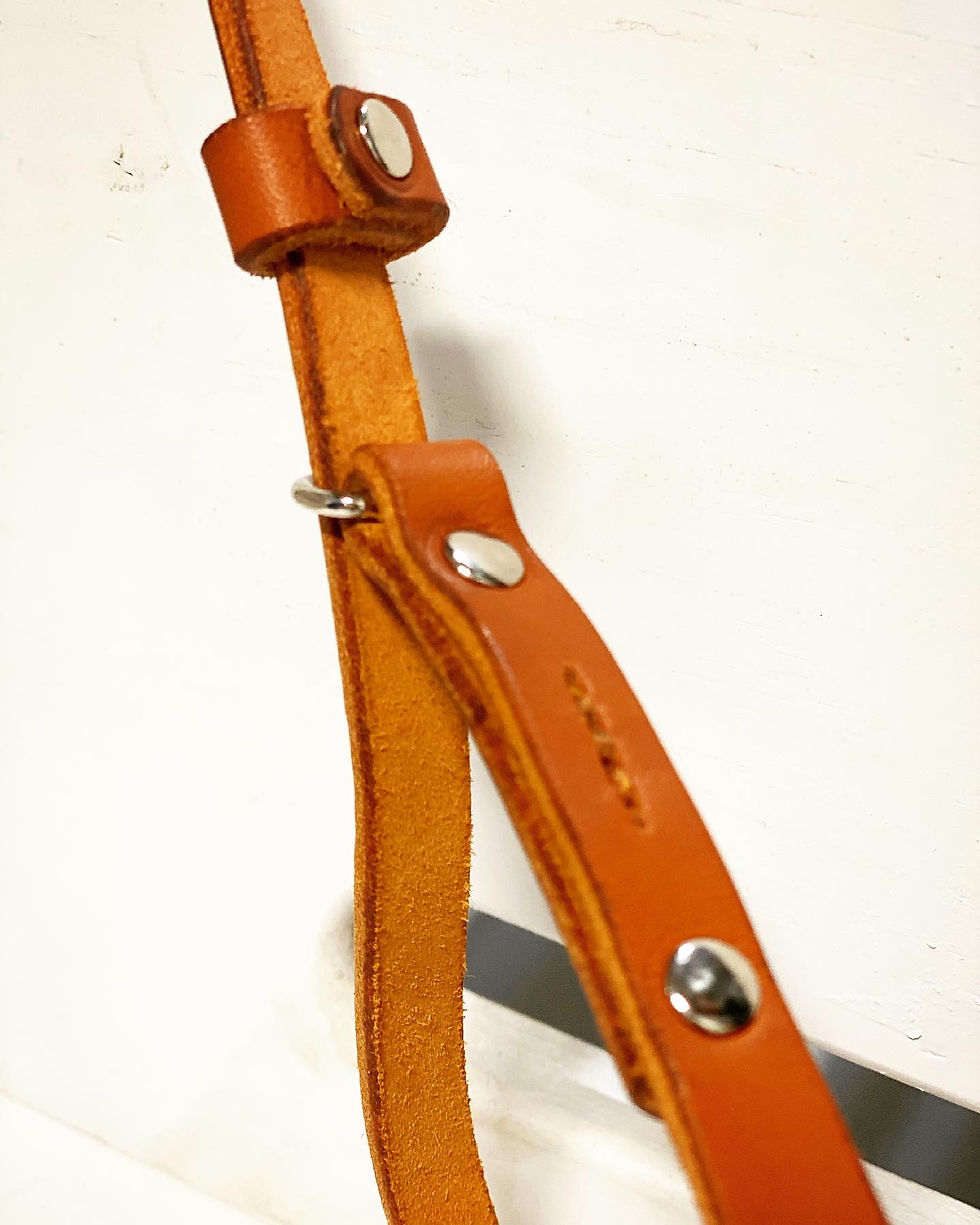 Thumbnail: Leather Slip Leash