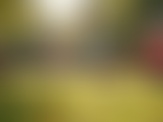 Discover Outdoor Play at Bee Curious Childcare Center