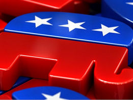 Why Become a Member of the GOP and a Precinct Delegate?