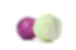 red-and-green-cabbage-isolated-on-white-background-2023-11-27-05-01-33-utc.jpg