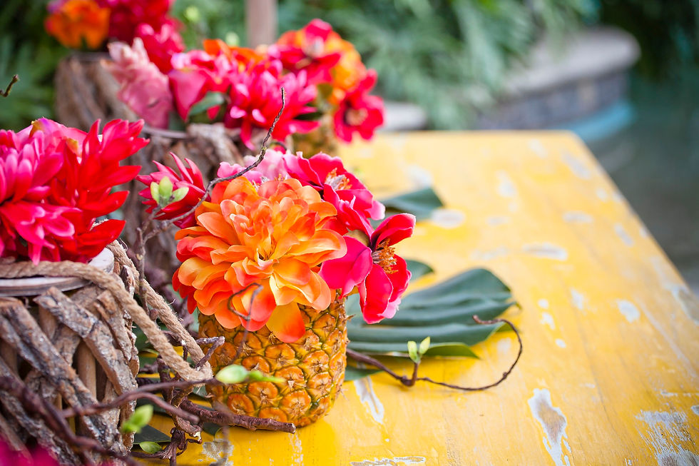 Miniatura: Mesa Washed