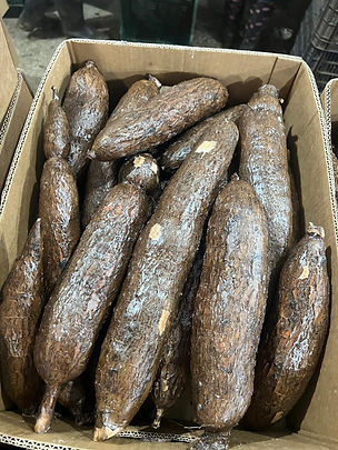Yuca2.jpeg