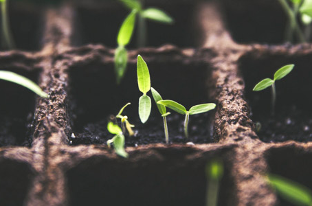 Good Soil