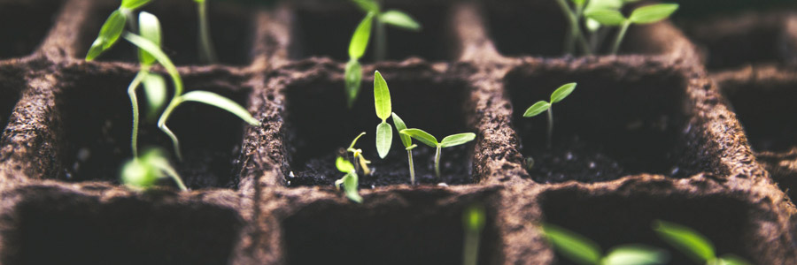 Good Soil