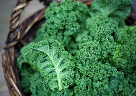 Kale, Kale and more Kale