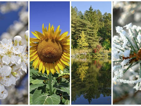 Seasons