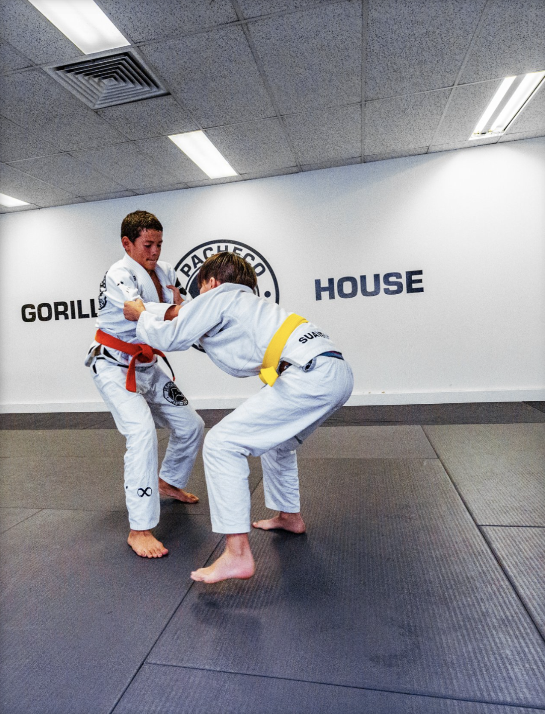 Screen Shot 2025-01-26 at 7.11.04 pm.png