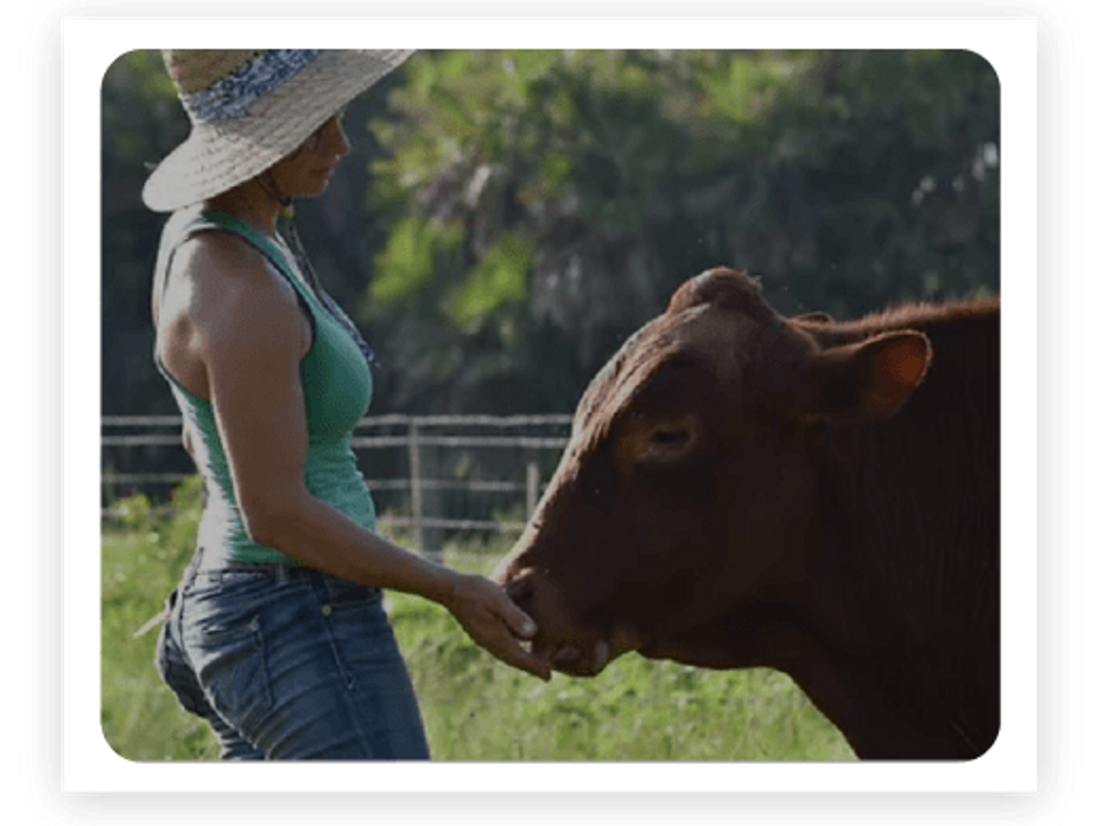 Jupiter Creamery Farm & Events