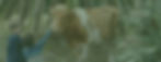 Farm Tour - NFFT.jpg