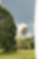 Asset 4sensitive skin bg.png