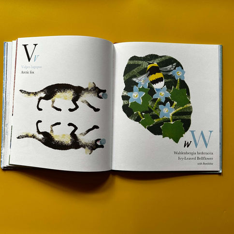 Open book, letter W, wolves, bumblebee, flowers