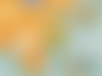 [학술대회] 2019 제11회 리앤원 국제학술강연회