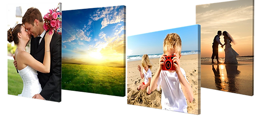 pngwing.com (17).png