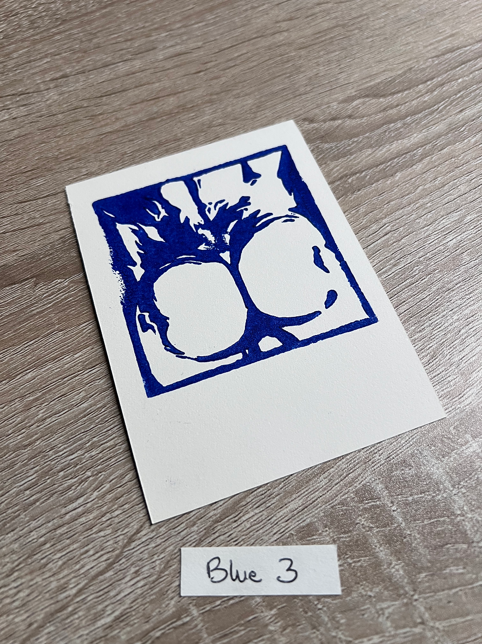 Miniature : Polaroïd - Back - Série Premium