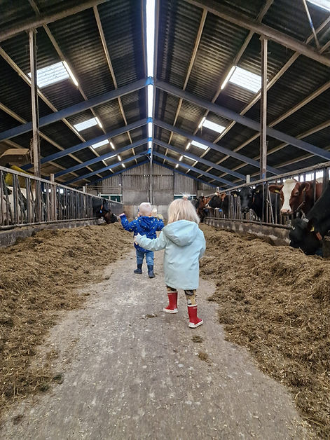 2023-10-27 11.17.13-4.jpg