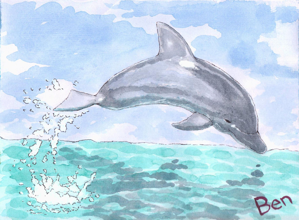 dolphin