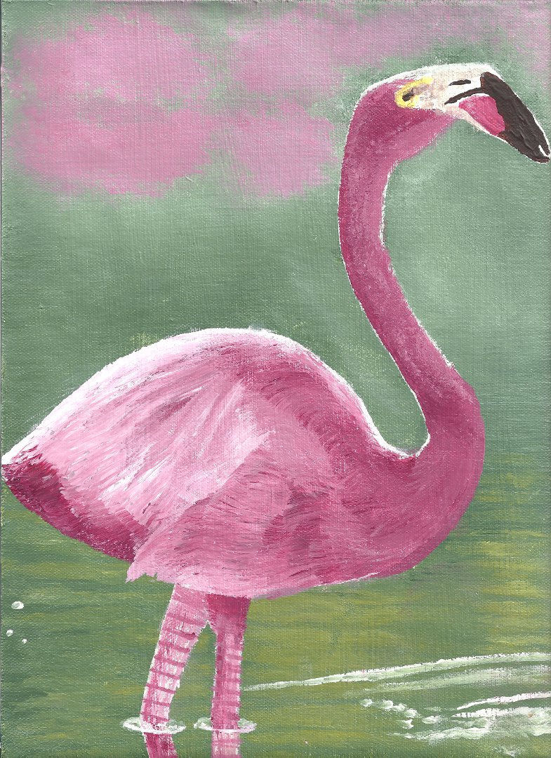 flamingo