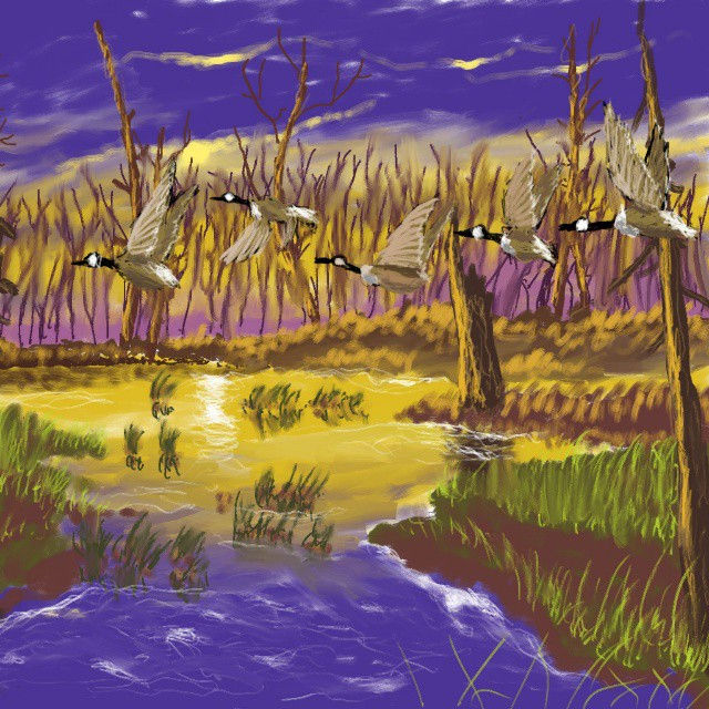 geese