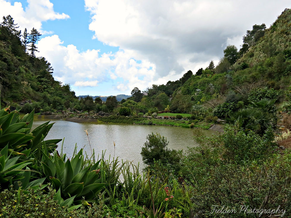 Whangarei Quarry Gardens