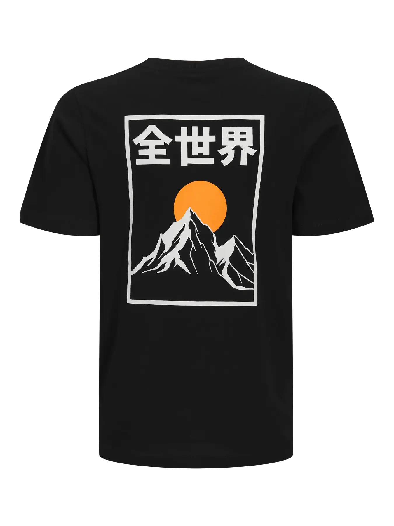 JACK & JONES T-shirt…str. 16 år