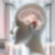 Designer (1).png