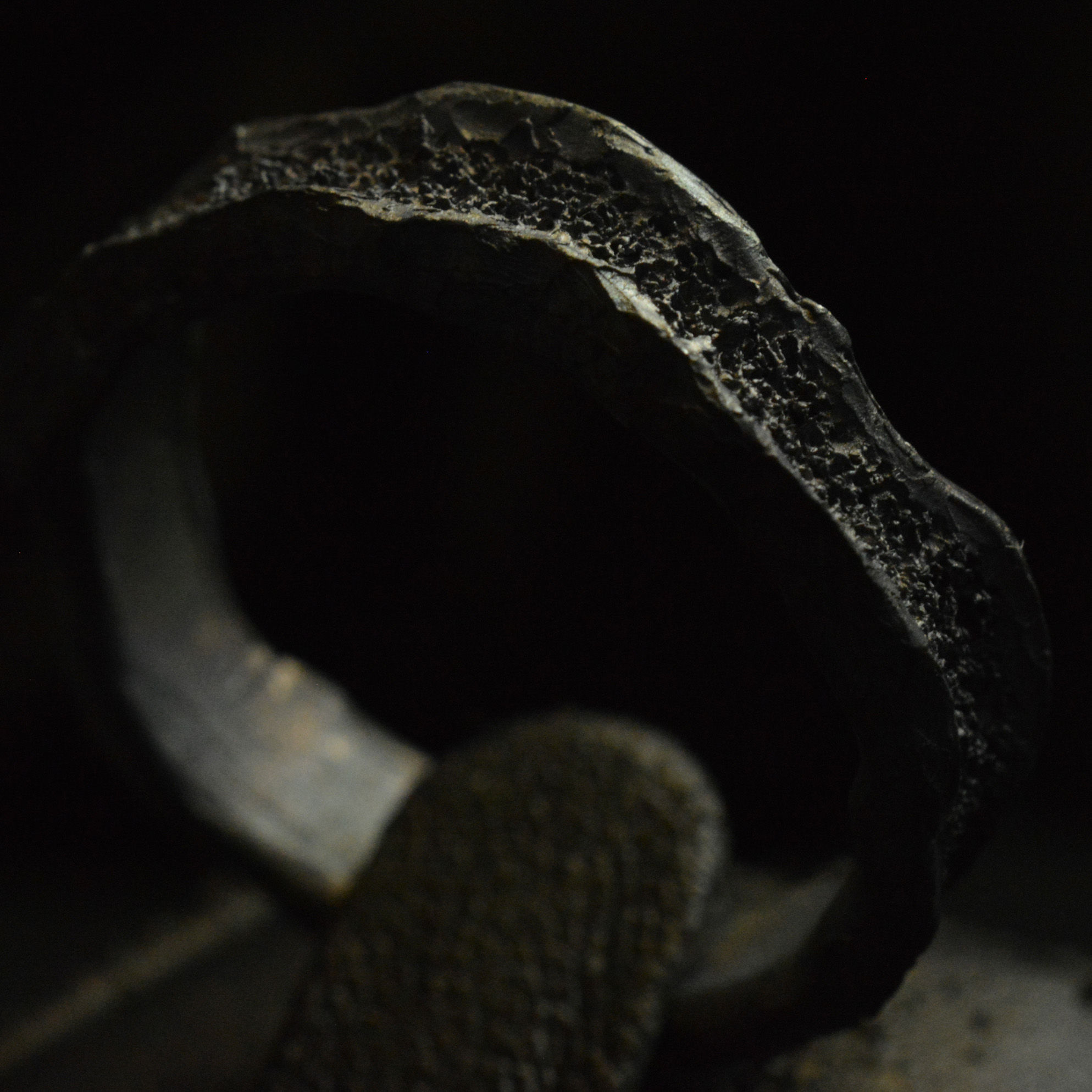 Cosmic Wave • Band • #147