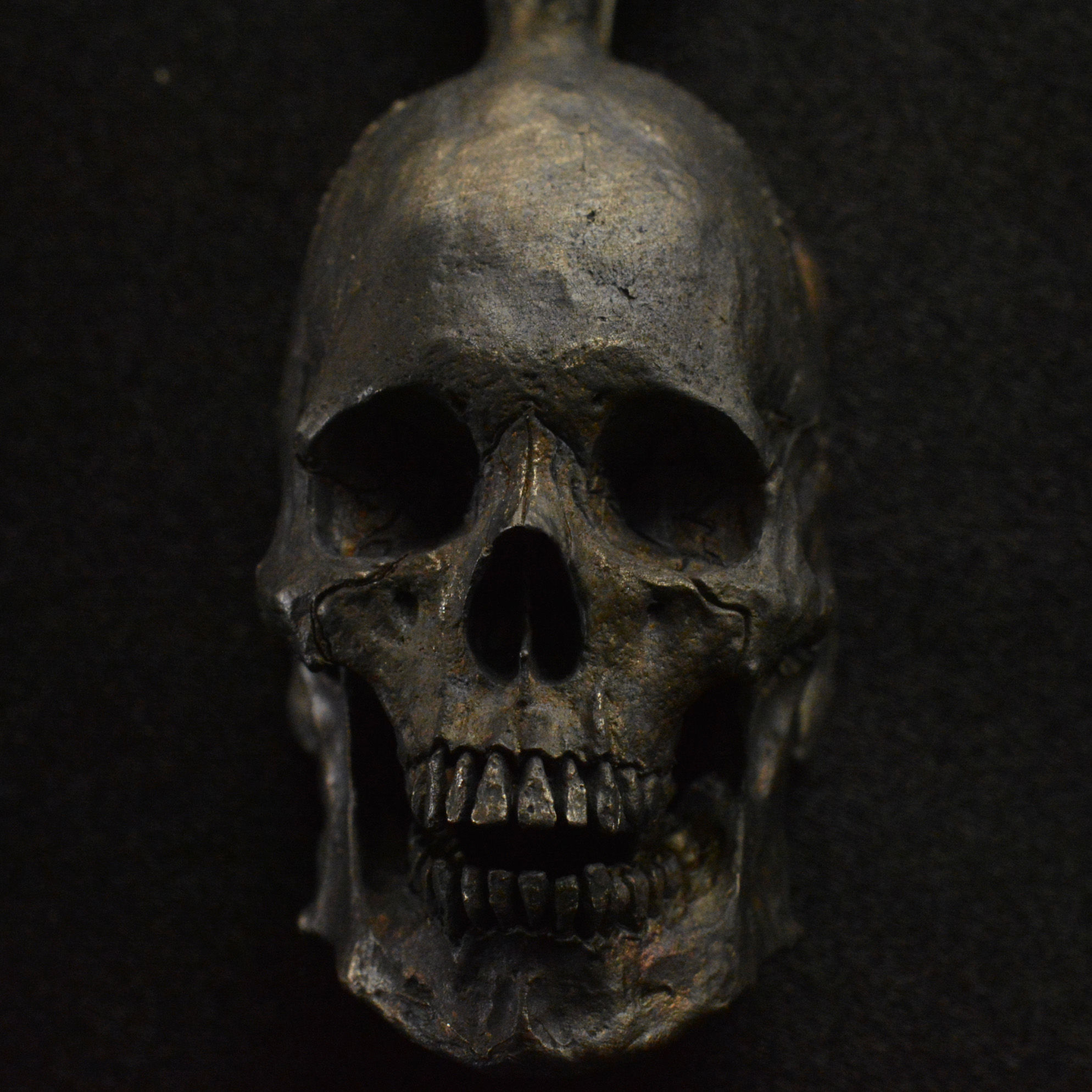 Large Open Jaw Skull Pendant #27 without  chain 