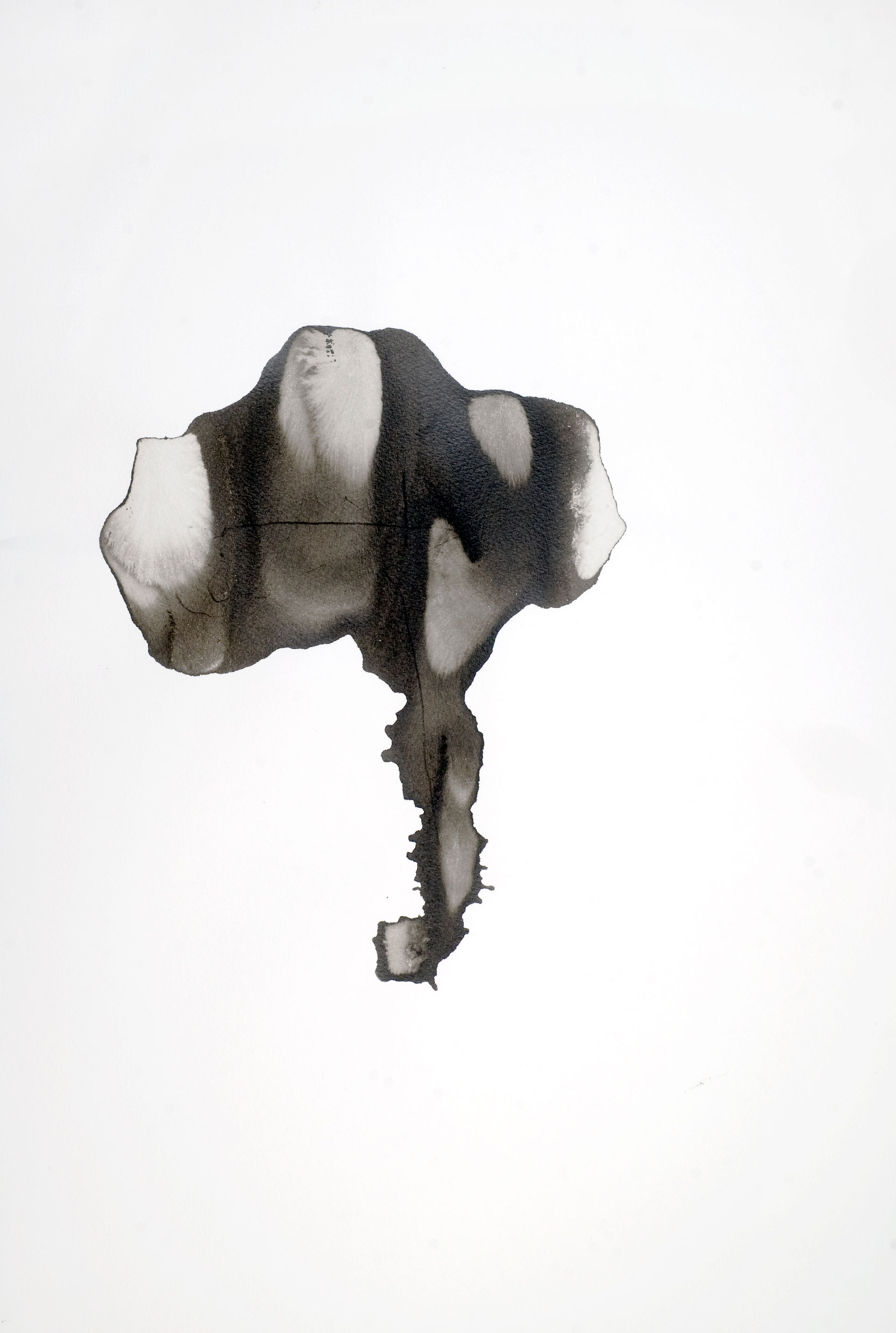 Kate V Robertson, In Progress, 2014