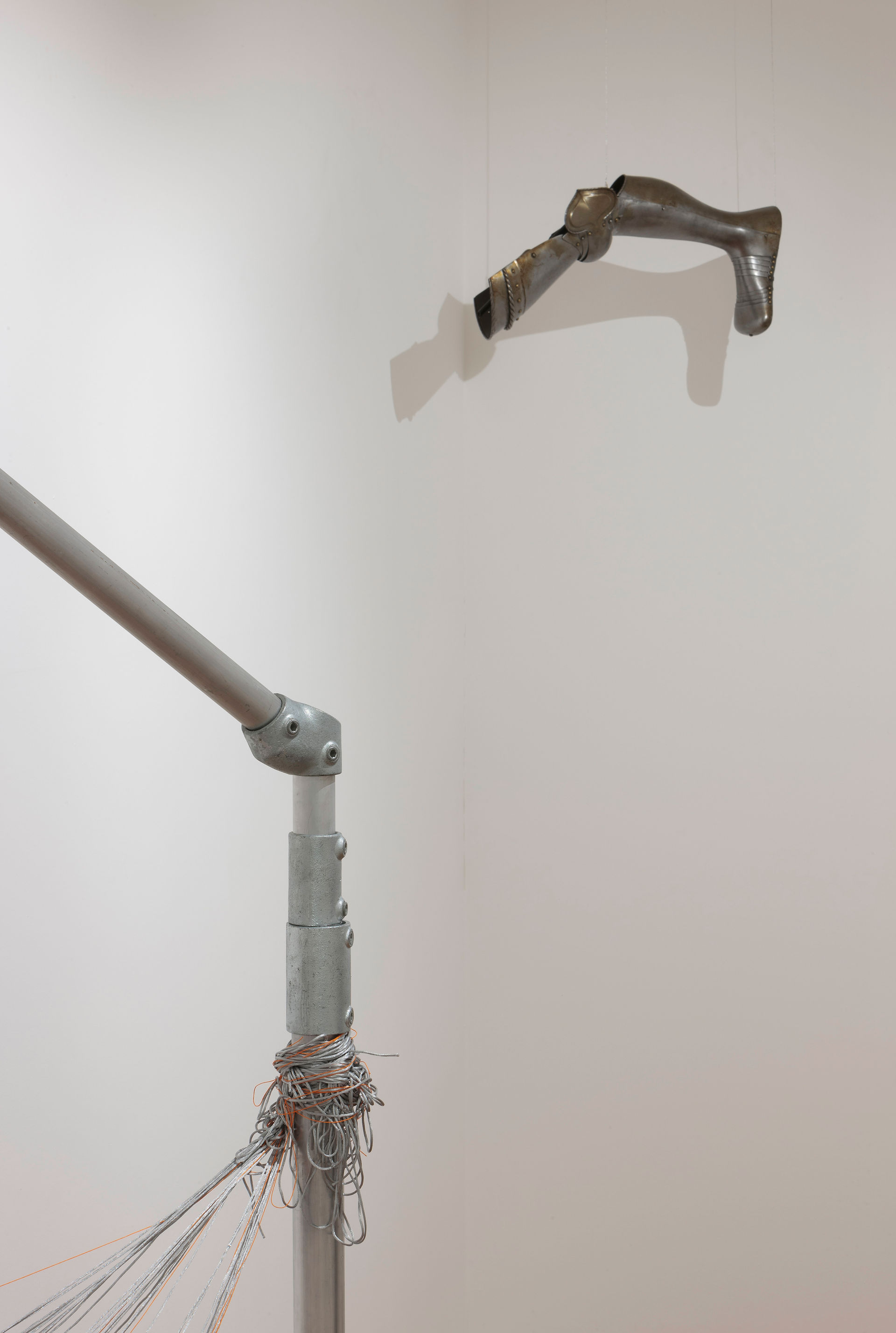 Jacqueline Donachie, Winter Trees and Leg Defence, 2016