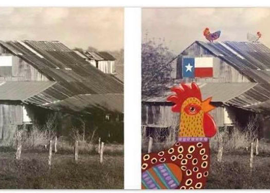 T Bang Rooster.jpg