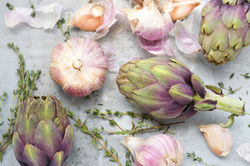 foodfotografie-fotografie-denhaag-sophie