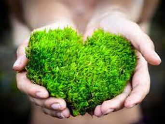 Two hands holding a green heart to symbolise unconditional and universal love
