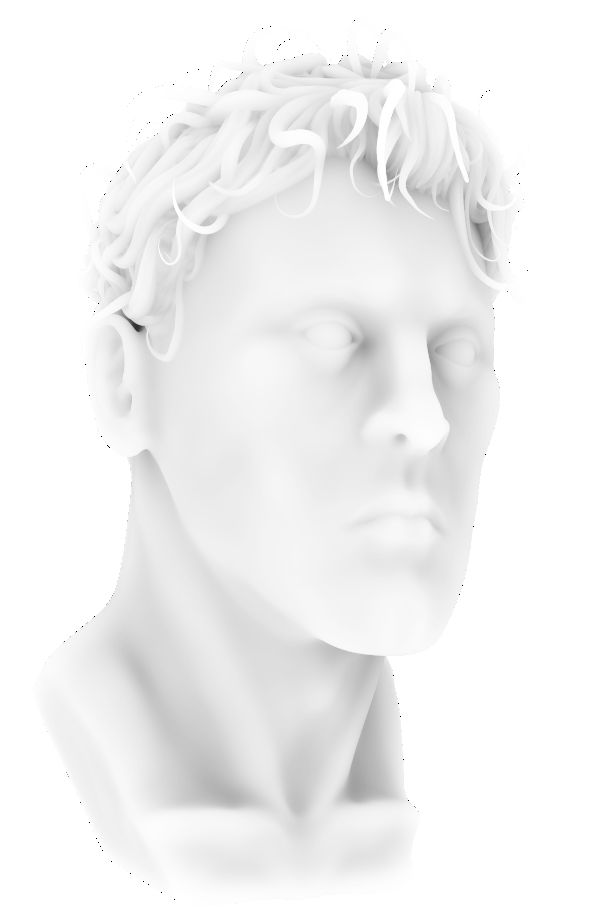 3D white bust of a man with detailed curly hair, set against a plain white background. The expression is neutral and timeless.