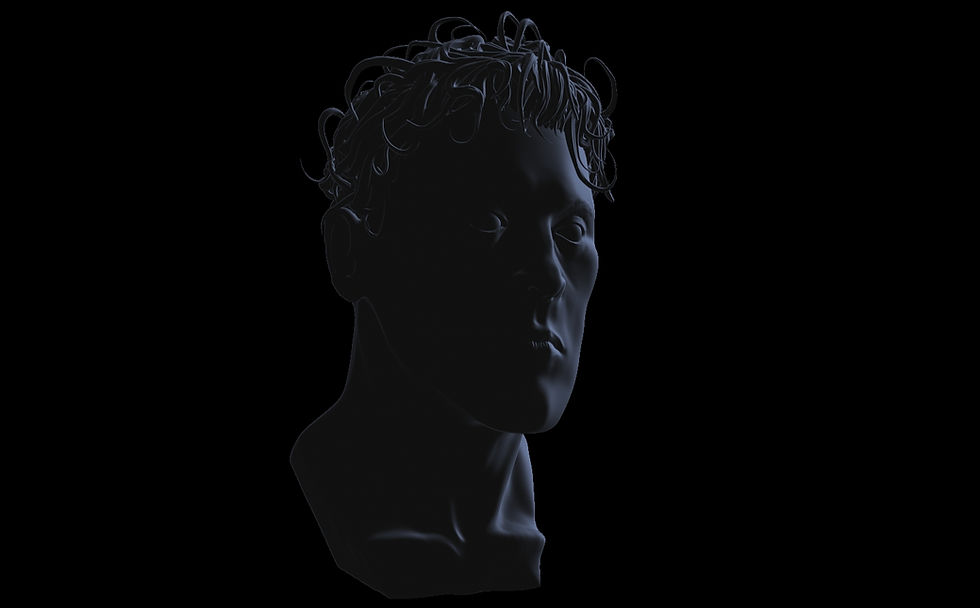 A dark, stylized 3D bust of a man with curly hair against a black background, highlighting facial features in a mysterious, shadowy mood.