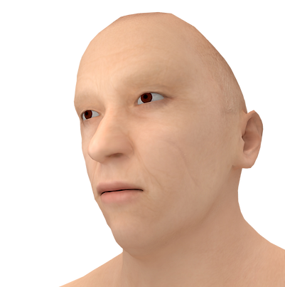 3333333333.png