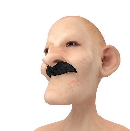 6666666666 copy.png