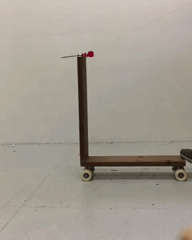 jan17.gif